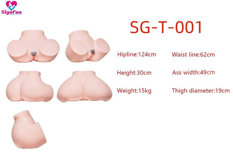 SG T 001